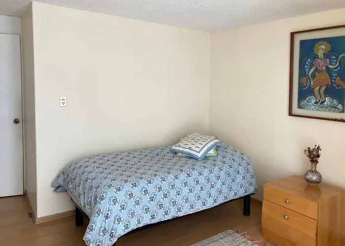 Homestay Amplia Con Bano Privado En Coyoacan Mexico City